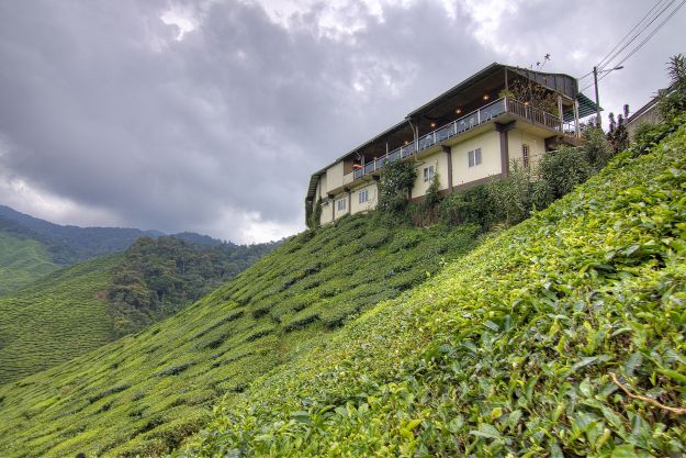 Terrain | Questions To Guide You In Finding The Right Property