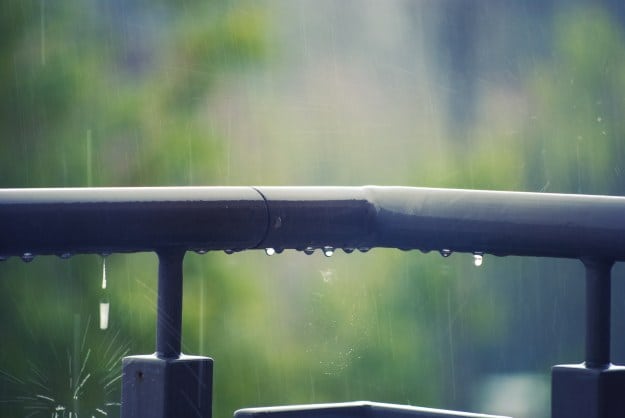 Microclimates | Questions To Guide You In Finding The Right Property
