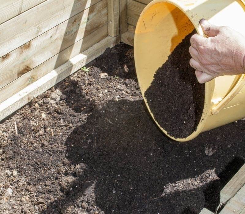 Raising melons in a cold frame sequence | Cold frame DIY