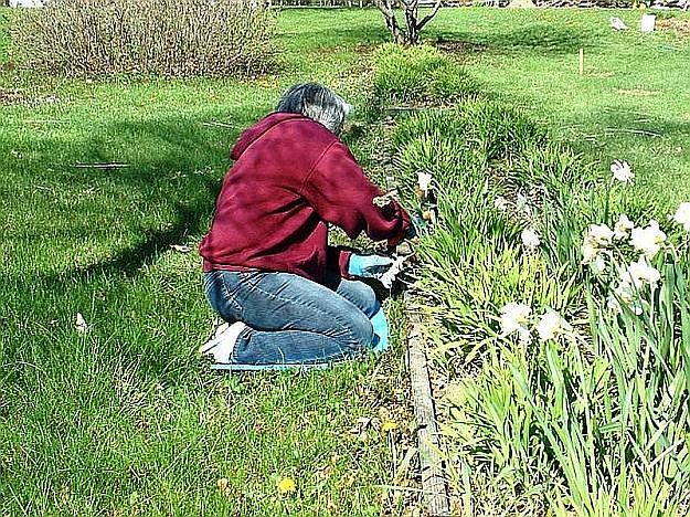 Realistic | You Know You're A Farm Girl When (continued) 5 Homesteading Characteristics Every Tried & True Homesteader Has