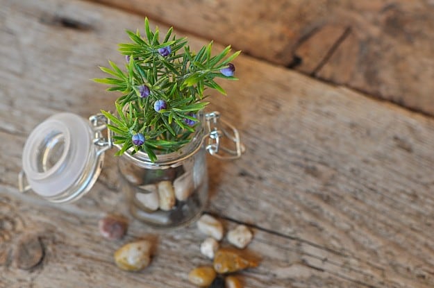 Things To Do With Glass Jars | Repurposed Materials | Transform And Recycle Common Household Items Things To Do With Glass Jars | Repurposed Materials | Transform And Recycle Common Household Items