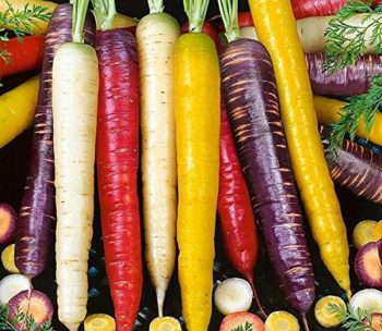San Jose, California Zone 9b/10a | Determining Your Gardening Zone | Homesteading Guide