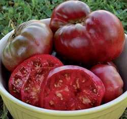 Seattle, Washington Zone 8b | Determining Your Gardening Zone | Homesteading Guide