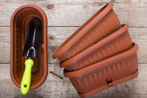 Secret # 3: Use a Plastic Container | 7 Secrets To Growing Fruit Trees In Containers