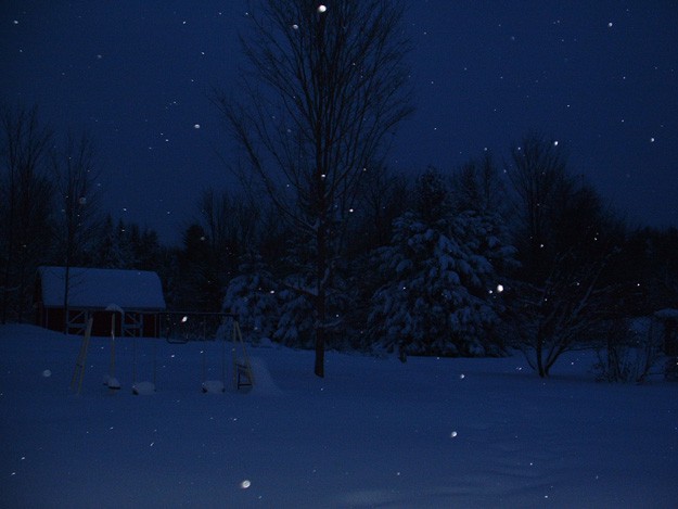 Seed Catalog Late night winter on the homestead