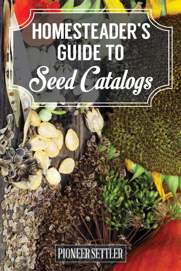 Seed Catalogs Homesteader's Guide to Seed Catalogs