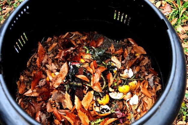 How to Compost | Self-Sustaining Ideas For Living The Homesteader's Dream