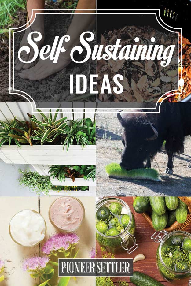 Self-Sustaining Ideas For Living The Homesteader's Dream