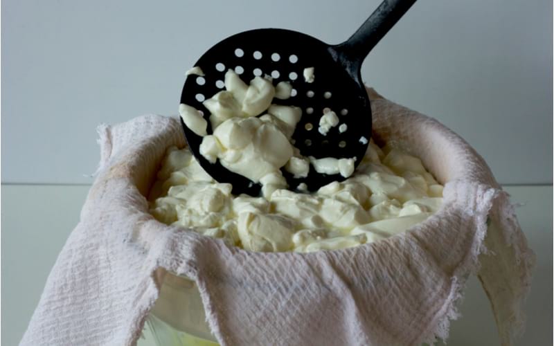 skimmer with curd | How To Make Cream Cheese At Home | cream cheese