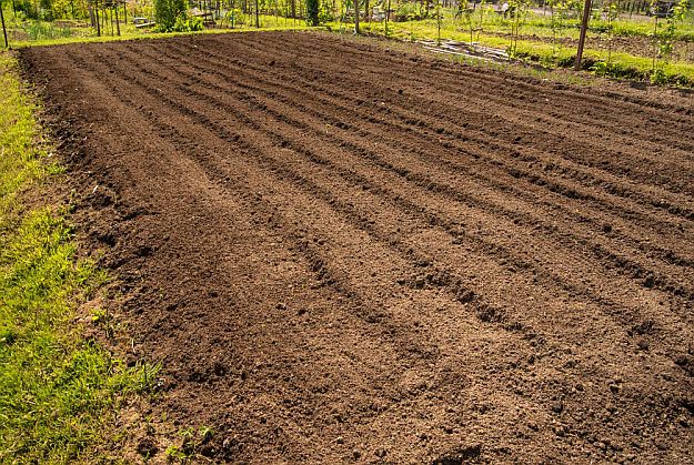 Soil Conservation | Dry Farming on Your Homestead | Types of Farming