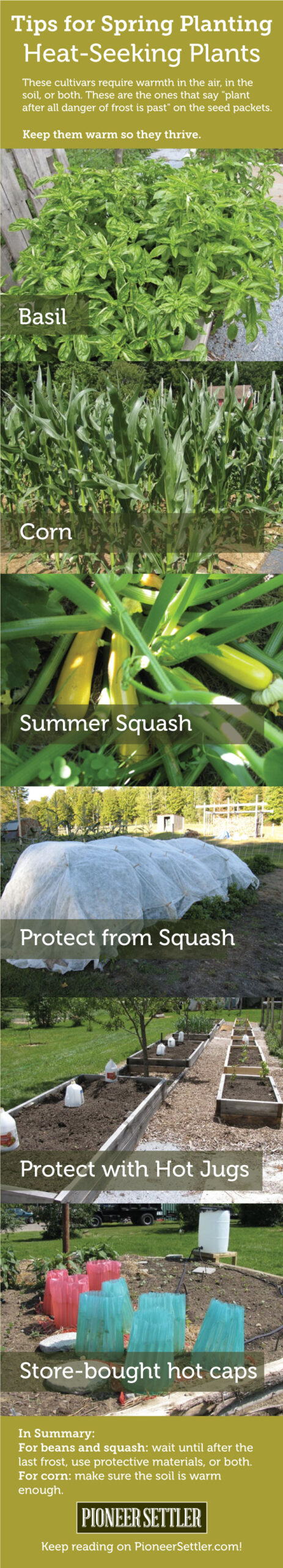 Planting Tips For Spring: Heat Seeking Plants | Keep reading for more planting tips at homesteading.com