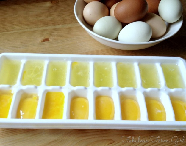 Place Eggs In A Container and Freeze | How to Freeze Eggs To Last Longer Than Ever