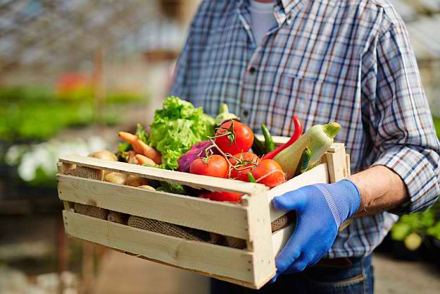 Subsistence Farming How to Grow Your Own Food, and Nothing More | Try Many Types Of Farming For You And Your Homestead