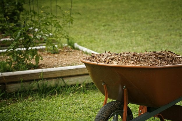 The Benefits of Gardening with Mulch | Soil Testing The Pioneer Way (No Equipment Needed)