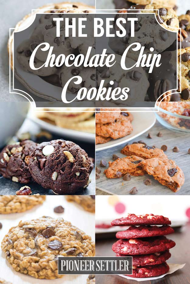 The Best Chocolate Chip Cookies