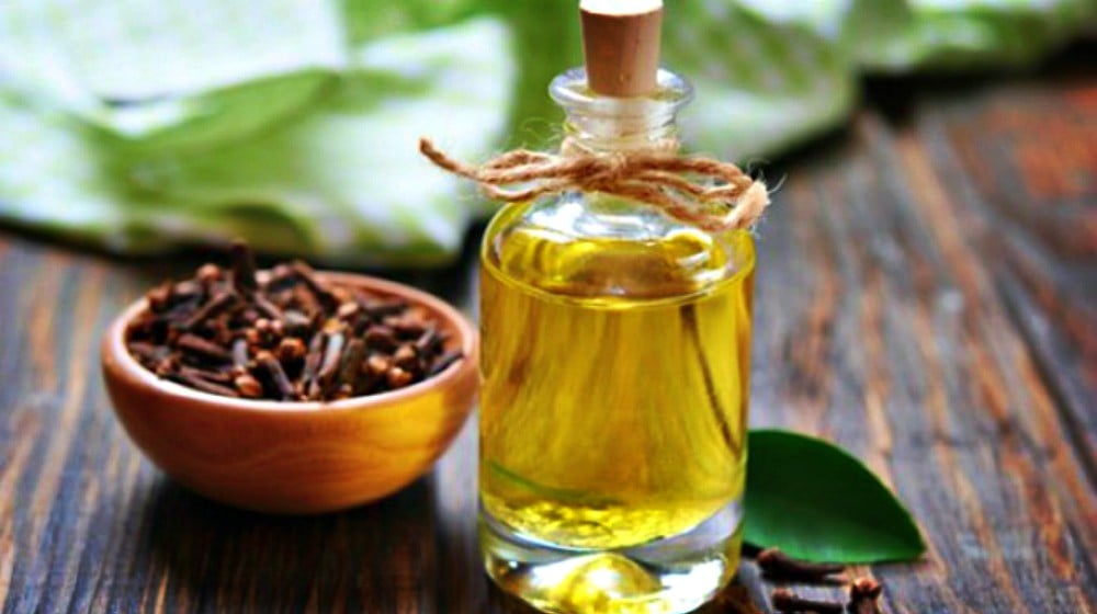 Feature | The Homesteader's Secret Essential Thieves Oil Recipe