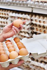 how to freeze eggs