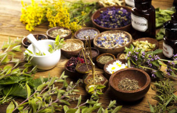Top Medicinal Herbs To Grow At Home Homesteading Tips | 20 Garden Tips And Hacks That Will Help You Become a Gardening Expert