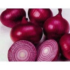 Tuscaloosa, Alabama Zone 8a | Determining Your Gardening Zone | Homesteading Guide
