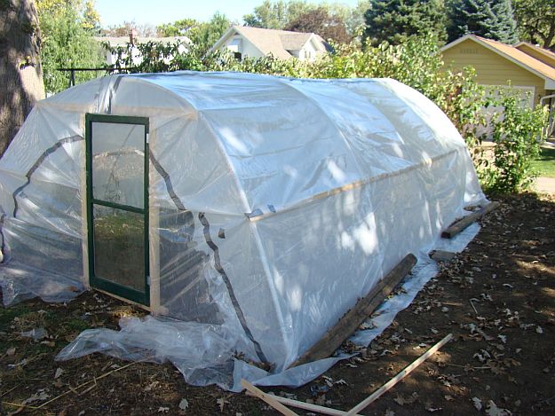 Unheated Greenhouse | Ultimate Guide To Have An Indoor Garden For Winter | [Infographic]