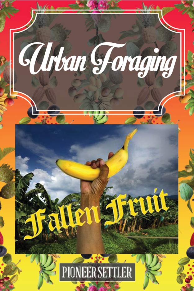 Urban Foraging Urban Foraging