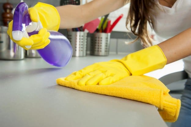 All-Purpose Home Cleaner | Incredible Uses For Tea Tree Oil Around The Homestead