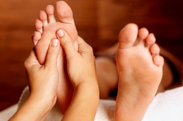 Immune System Booster | Incredible Uses For Tea Tree Oil Around The Homestead