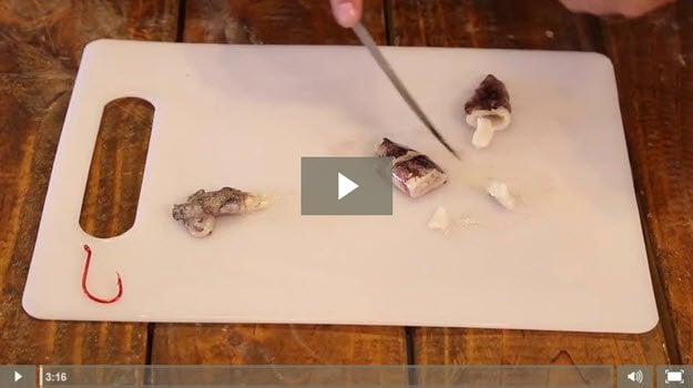 VIDEO How to Make Fishing Lures - Fishing and Lure Making - Bait - Squid