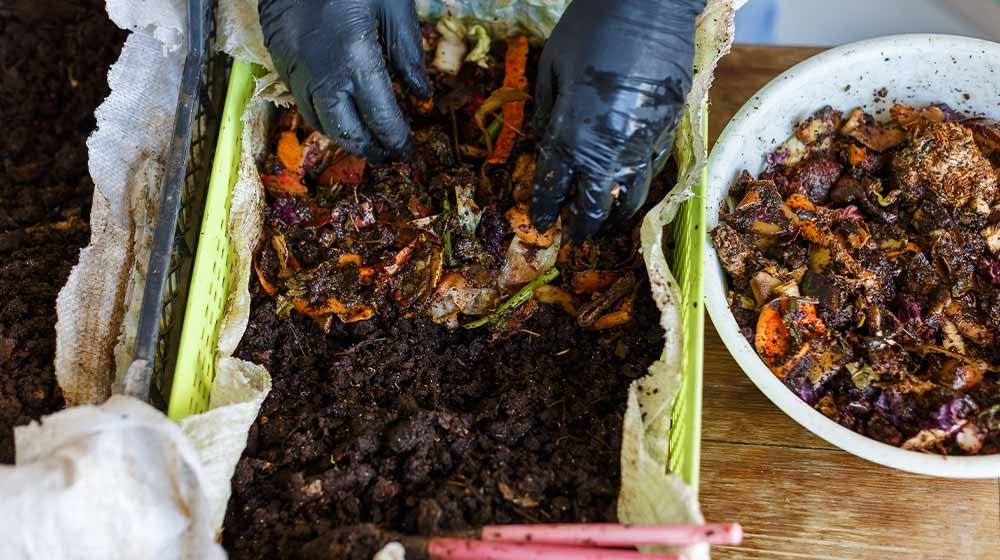 Vermicomposting or Homemade Worm Composting | What Do Worms Eat? | Worm Farming 101 | featured