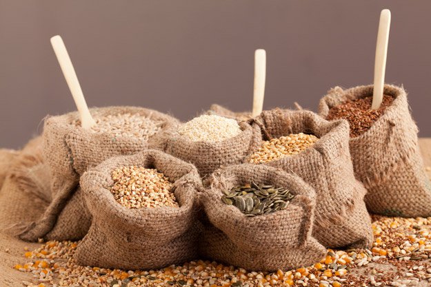 Sell Seeds | Ways to Make Money While Homesteading
