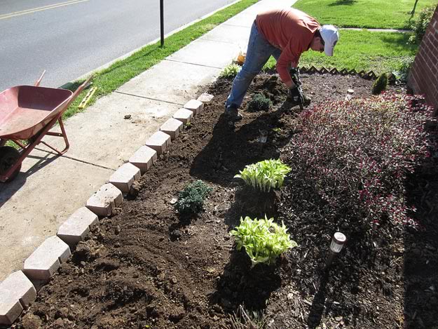 Weeding Made Easy Tips & Tricks | Gardening Tips To Earn Your Most Fruitful Yield Yet 