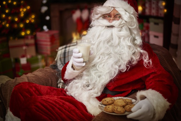 Snack for Santa