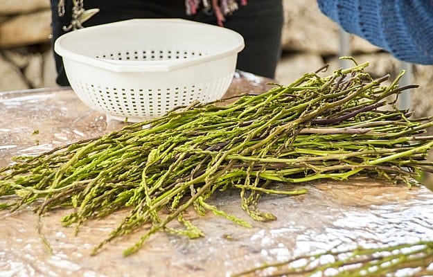 Wild Asparagus | Wild Edibles You Should Know | Homesteading And Survival Skills