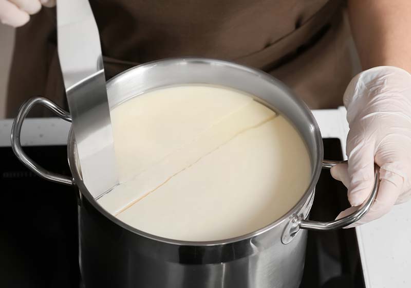 Woman preparing tasty cheese | cheese making