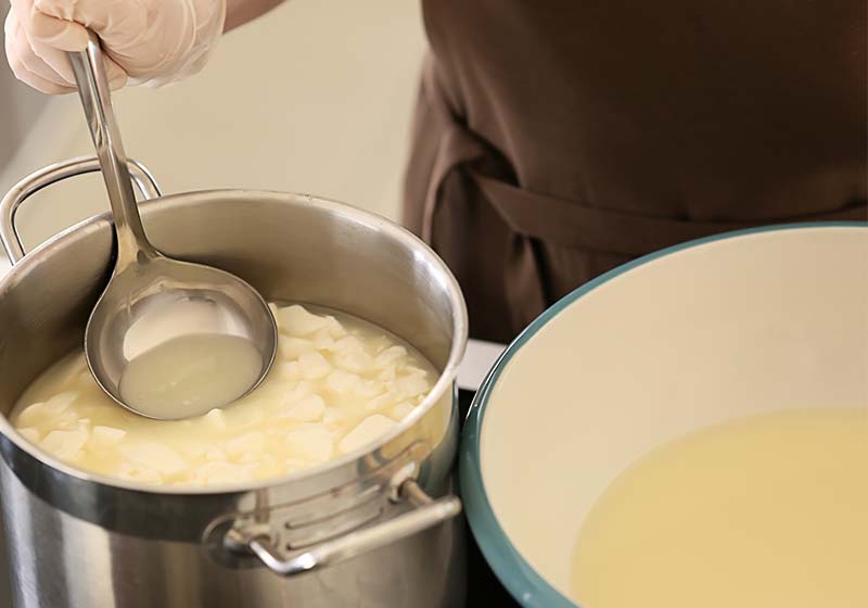 Woman preparing tasty cheese in kitchen | gouda cheese