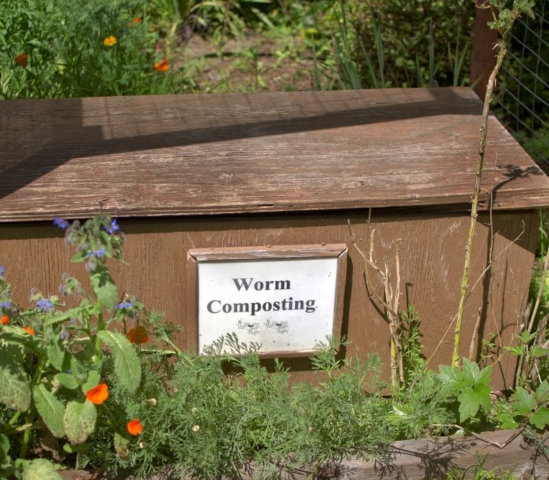 Worm composting wooden box in a garden | What To Do With Fall Leaves | XX Smart Ways