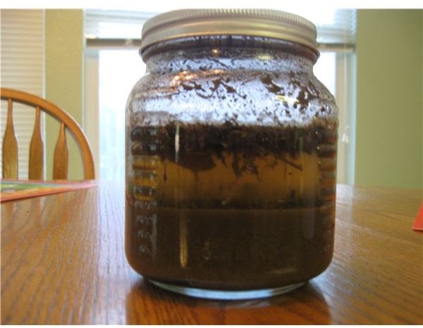 Soil Testing The Pioneer Way (No Equipment Needed)