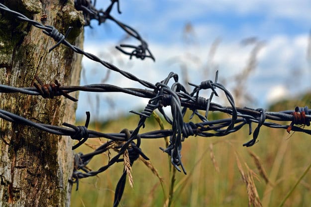 Fencing Frenzy: Choosing the Right Fence For Your Homestead