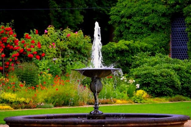 Moving Water Is A Must | Bird Bath & All You Need To Know In Keeping Your Backyard Birds Happy