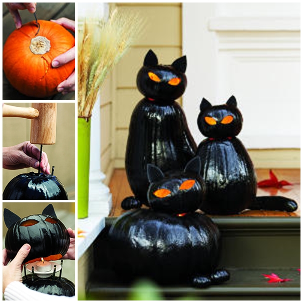  Cat Pumpkins | How To Carve The Perfect Jack-O-Lantern [Infographic]