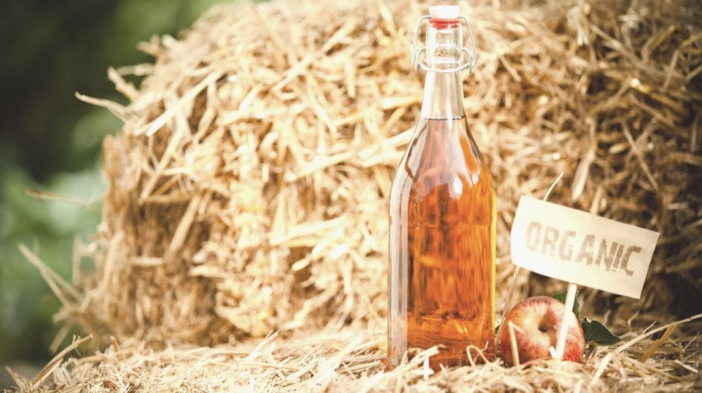 bottle natural apple cider vinegar | Ways To Use A Vinegar Cleaning Solution To Disinfect Your Home | Featured