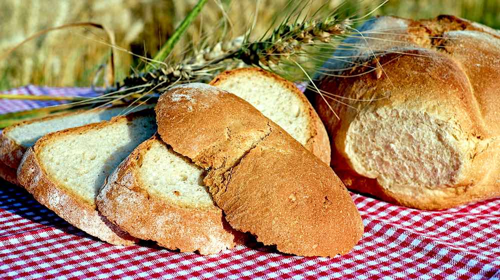 bread | How To Make A Paleo Almond Flour Bread [Step-by-Step] | featured
