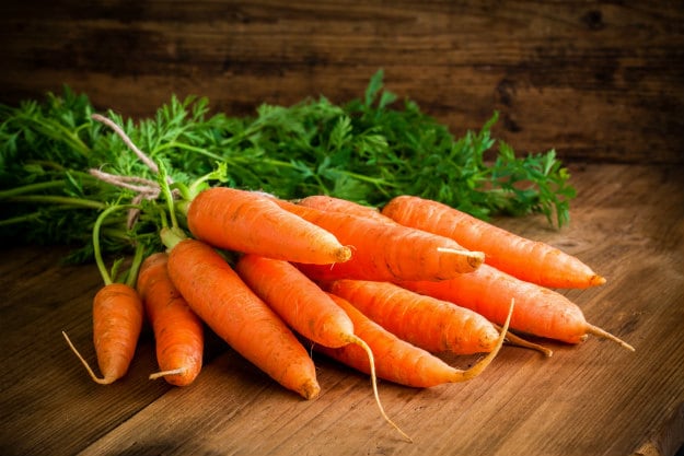 Companion Plants For Your Survival Garden carrots