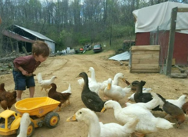 children homesteading