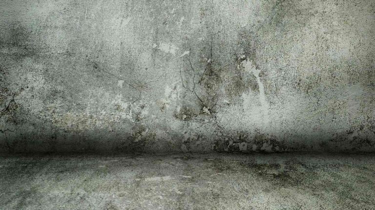 Concrete | How to Paint a Concrete Floor