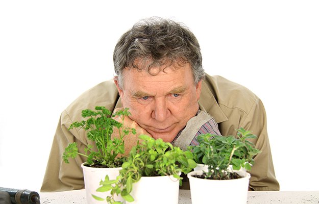 Wait Patiently for Plants to Grow