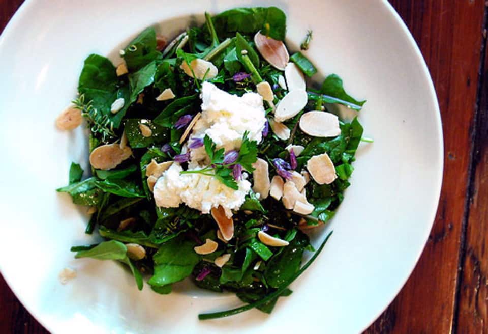 Meyer Lemon Spring Salad With Goat Cheese | Fresh Spring Salad Ideas To Savor This Season Meyer Lemon Spring Salad With Goat Cheese | Fresh Spring Salad Ideas To Savor This Season