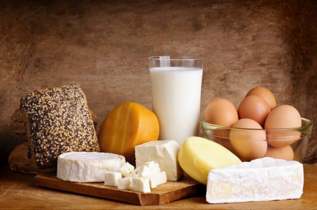 Lactose Survival For The Modern Day Homesteader - How To Do Dairy All By Yourself