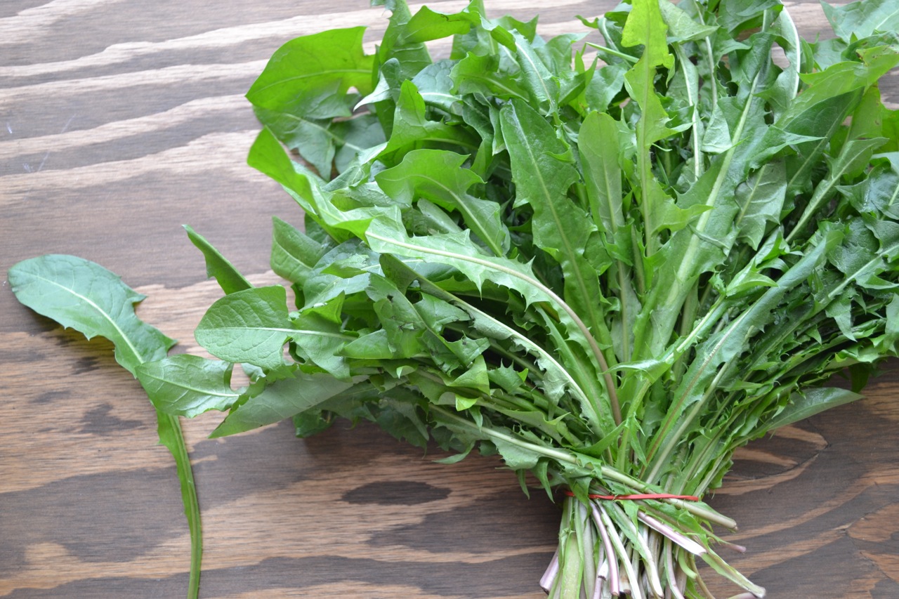 Salad Greens Ultimate Guide To Have An Indoor Garden For Winter | [Inforgraphic]