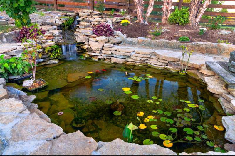 decorative-koi-pond-garden | duck